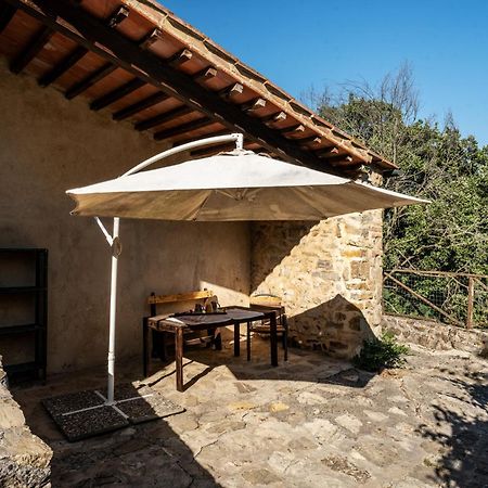 Agriturismo Santa Caterina Castelnuovo di Val di Cecina Eksteriør billede