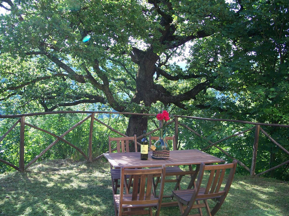 Agriturismo Santa Caterina Castelnuovo di Val di Cecina Eksteriør billede