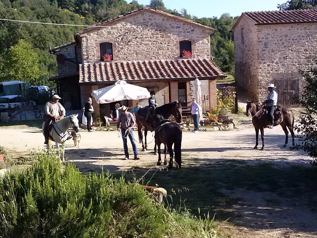 Agriturismo Santa Caterina Castelnuovo di Val di Cecina Eksteriør billede