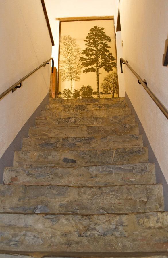 Agriturismo Santa Caterina Castelnuovo di Val di Cecina Værelse billede